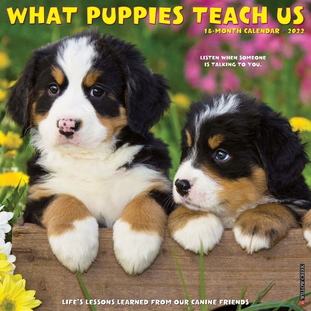 What Puppies Teach Us 2022 Wall Calendar - Calendars.com