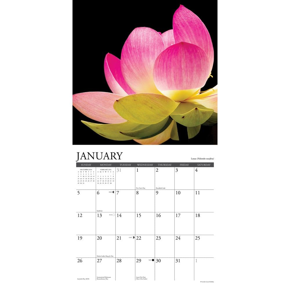 Flowers 2025 Wall Calendar Second Alternate Image width="1000" height="1000"