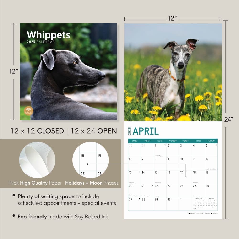 Whippets 2025 Wall Calendar Seventh Alternate Image