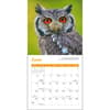 image owls-wwf-2024-mini-wall-calendar-alt3