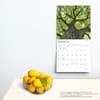 image World&#39;s Greatest Trees 2024 Wall Calendar Third Alternate Image width=&quot;1000&quot; height=&quot;1000&quot;