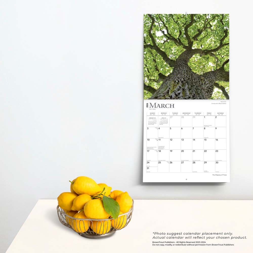 World&#39;s Greatest Trees 2024 Wall Calendar Third Alternate Image width=&quot;1000&quot; height=&quot;1000&quot;