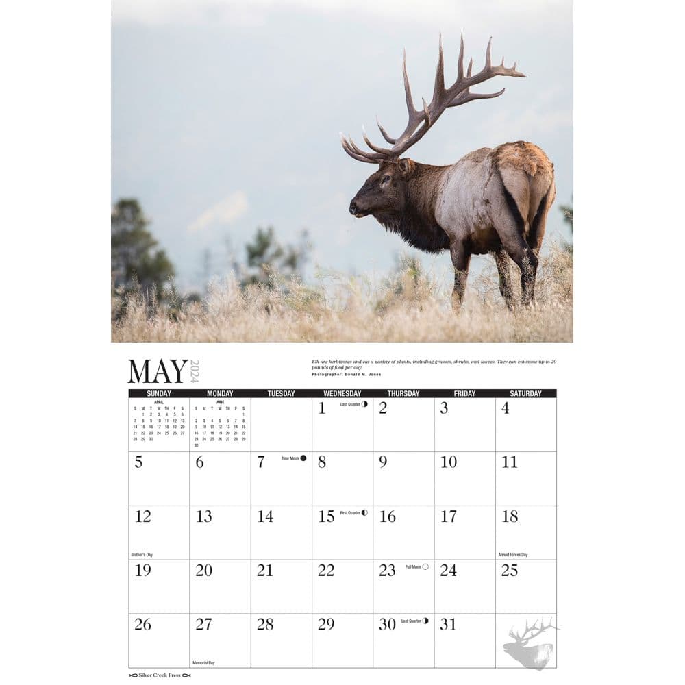 Elk 2024 Wall Calendar