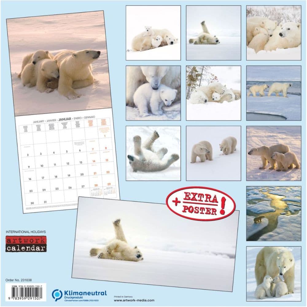 polar-bears-tushita-2023-wall-calendar-calendars