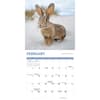 image Rabbits 2025 Wall Calendar Second Alternate Image width=&quot;1000&quot; height=&quot;1000&quot;