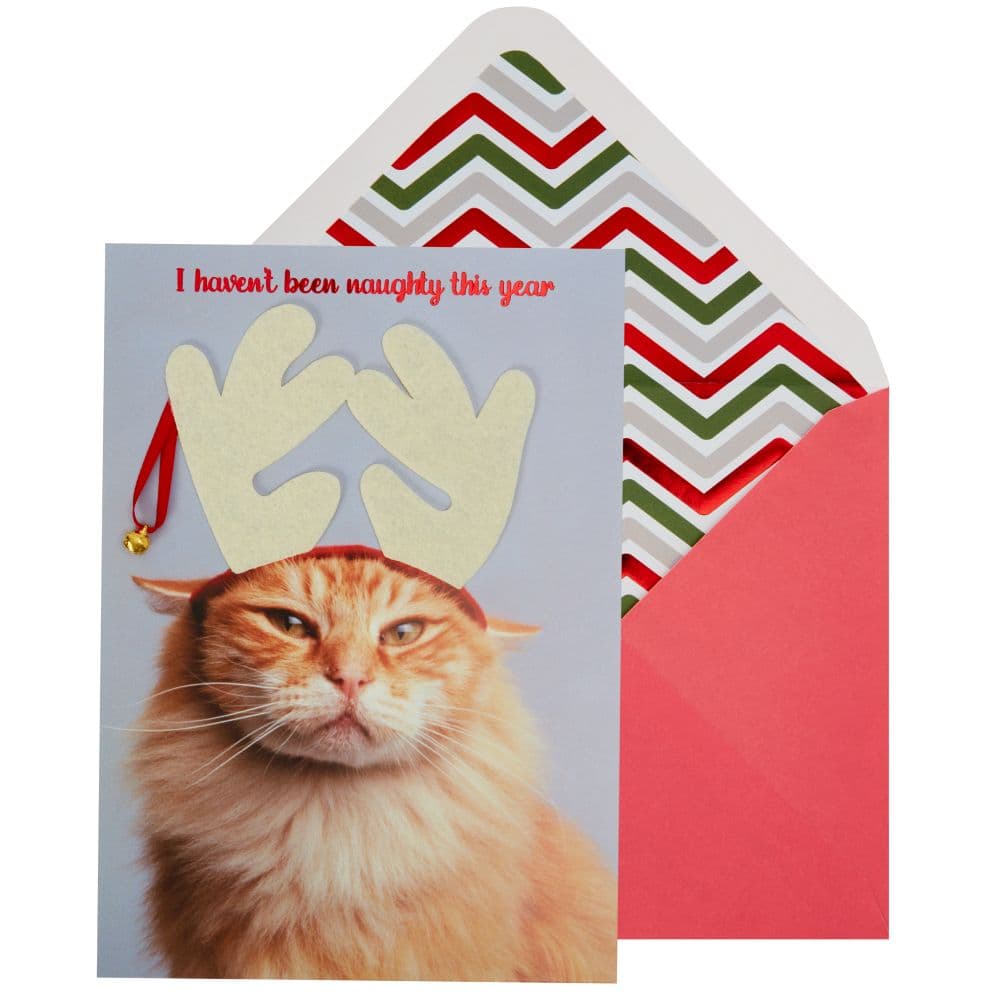 Cat with Antlers Christmas Card Main Product Image width=&quot;1000&quot; height=&quot;1000&quot;