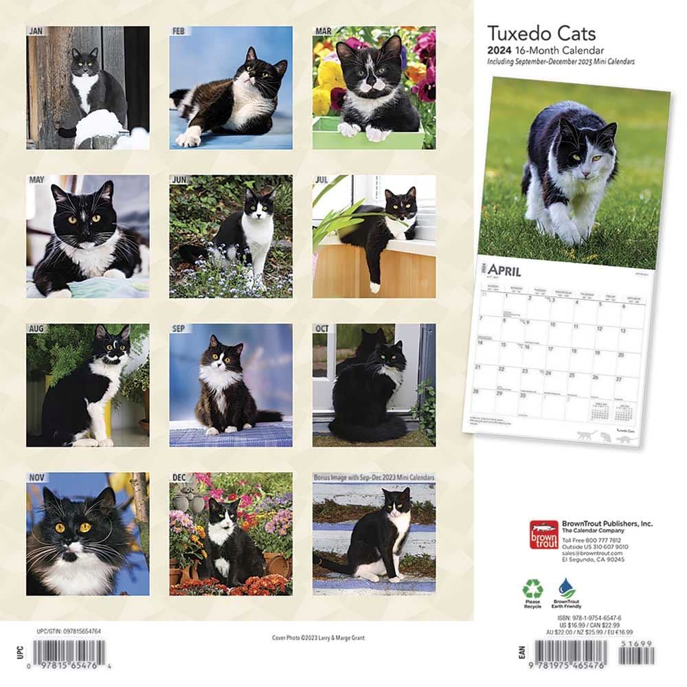 Tuxedo Cats 2024 Wall Calendar - Calendars.com
