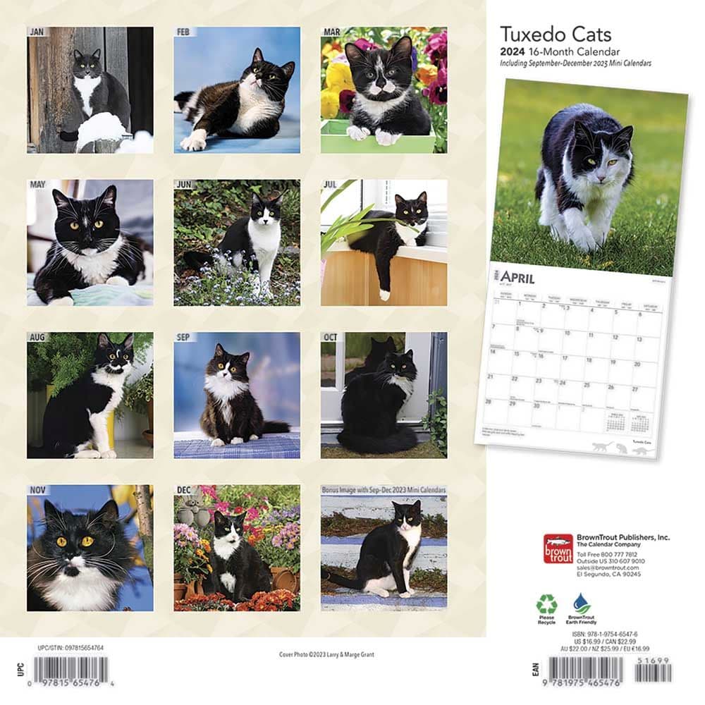 Tuxedo Cats 2024 Wall Calendar 3580