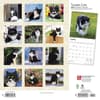 image Tuxedo Cats 2024 Wall Calendar First Alternate Image width=&quot;1000&quot; height=&quot;1000&quot;