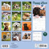 image Puppy Love 2025 Wall Calendar First Alternate Image width=&quot;1000&quot; height=&quot;1000&quot;