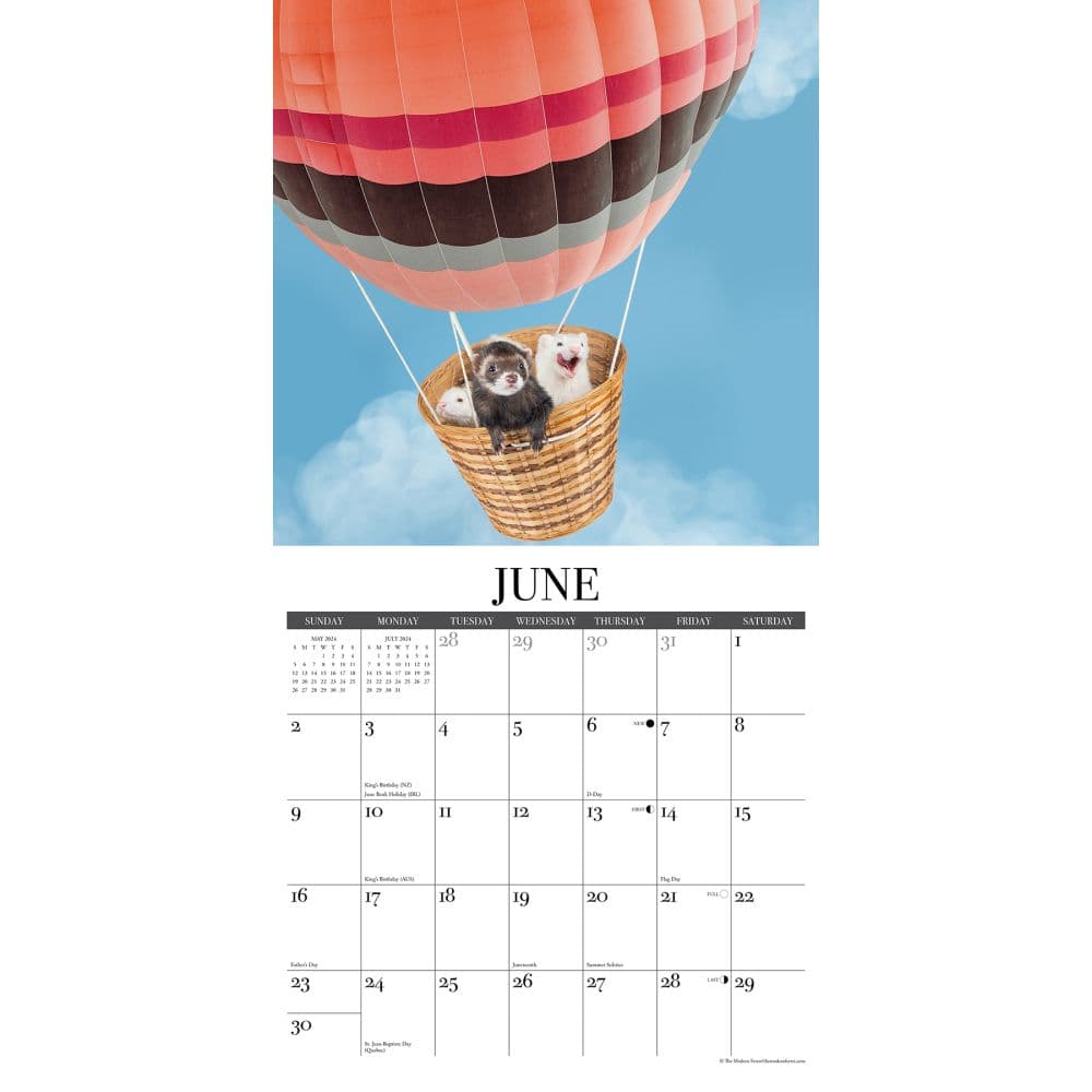 Modern Ferret 2024 Wall Calendar