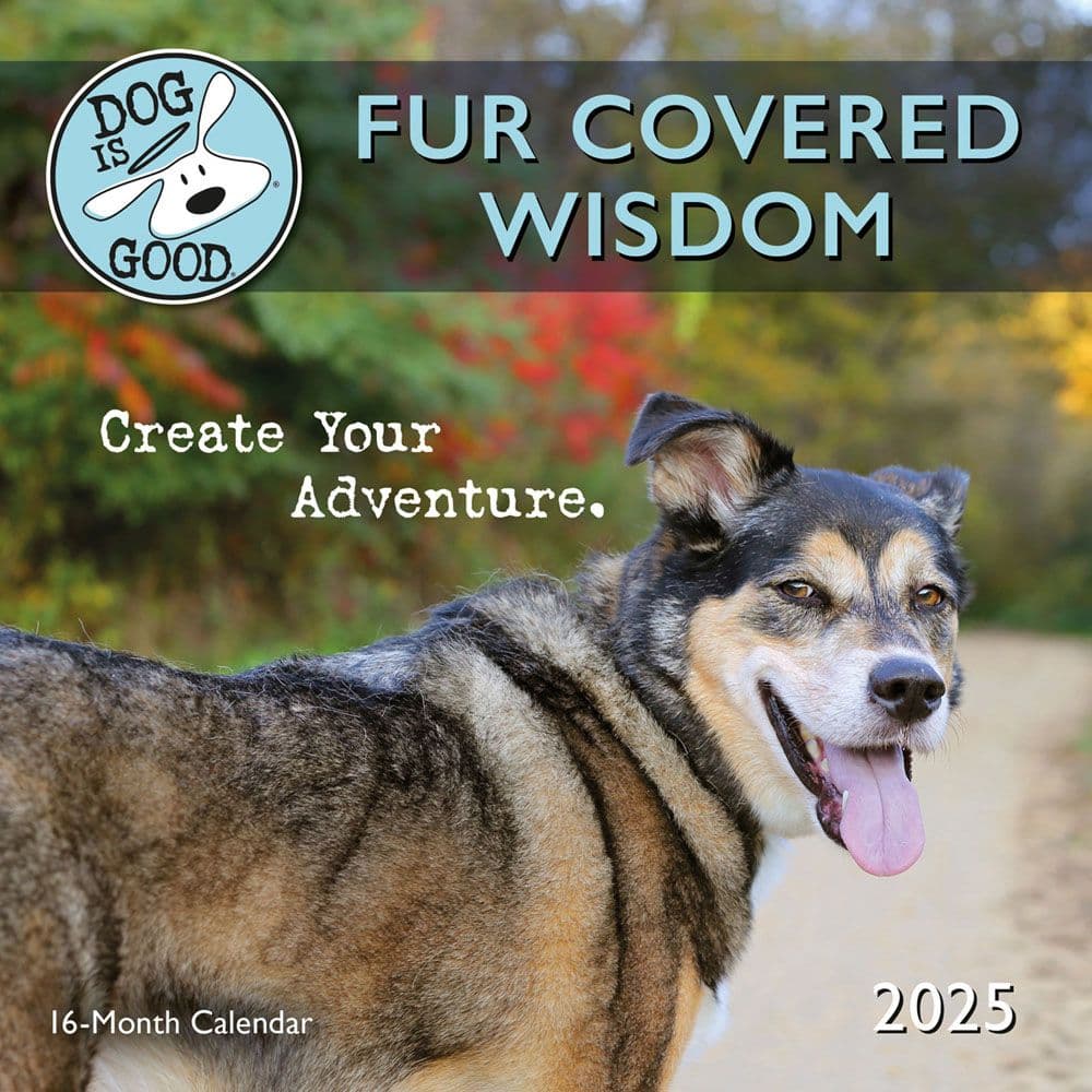 Dog is Good Fur Wisdom 2025 Mini Wall Calendar