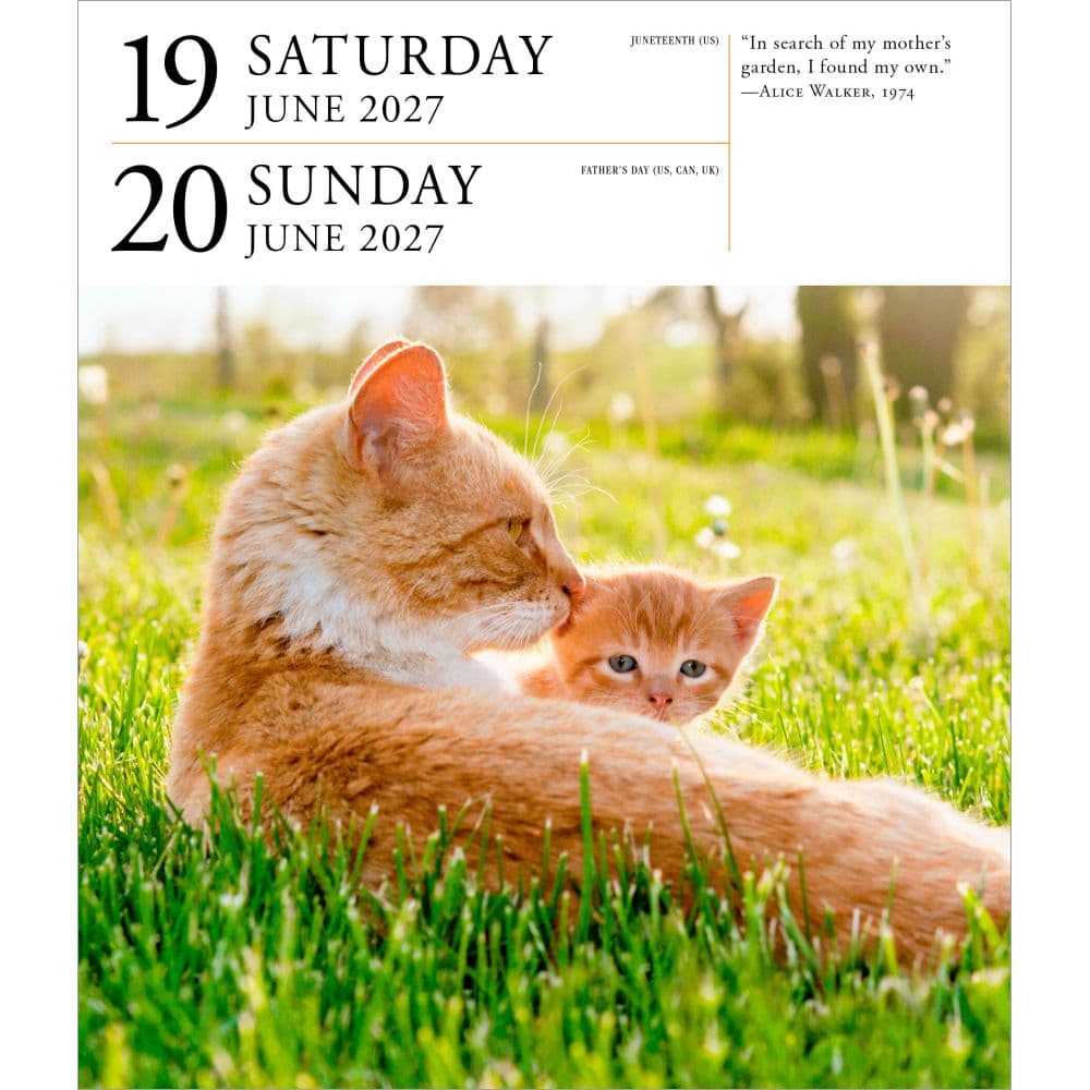 Cat Page-A-Day Gallery Calendar Refill Pack Second Alternate Image