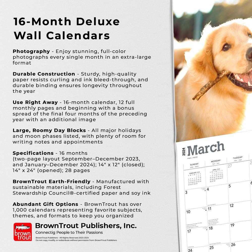 Golden Retrievers Deluxe 2024 Wall Calendar Alternate Image 4