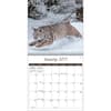 image Wildlife 2025 Wall Calendar Second Alternate Image width="1000" height="1000"