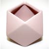 image Blush Matte Ceramic Planter Main Image