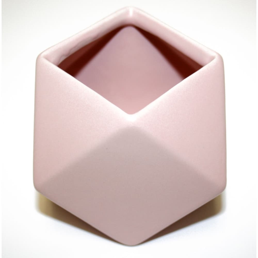 Blush Matte Ceramic Planter Main Image
