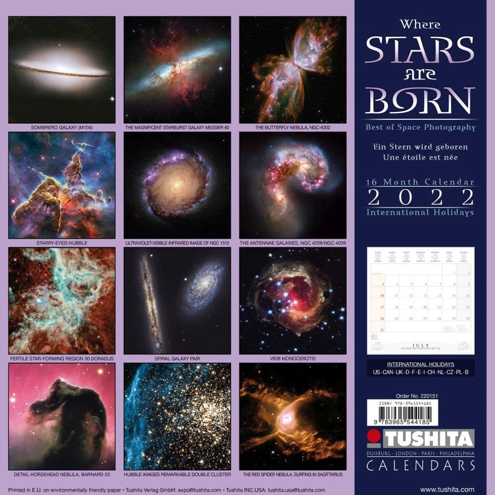 Star Is Born Tushita 2022 Wall Calendar - Calendars.com