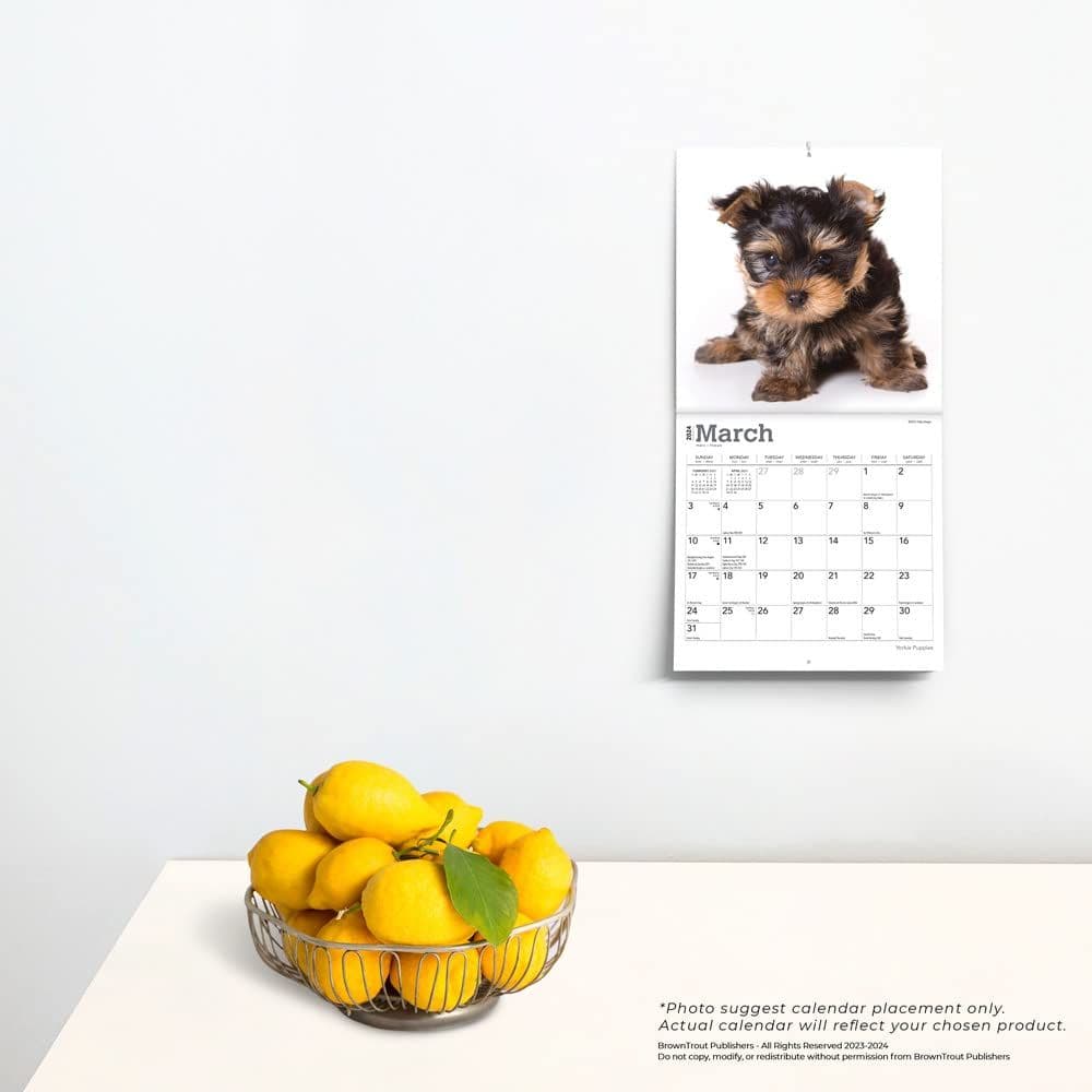 Yorkshire Terrier Puppies 2024 Mini Wall Calendar Third Alternate Image width=&quot;1000&quot; height=&quot;1000&quot;