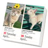 image 365 Cats 2027 Page-A-Day Desk Calendar Second Alternate Image
