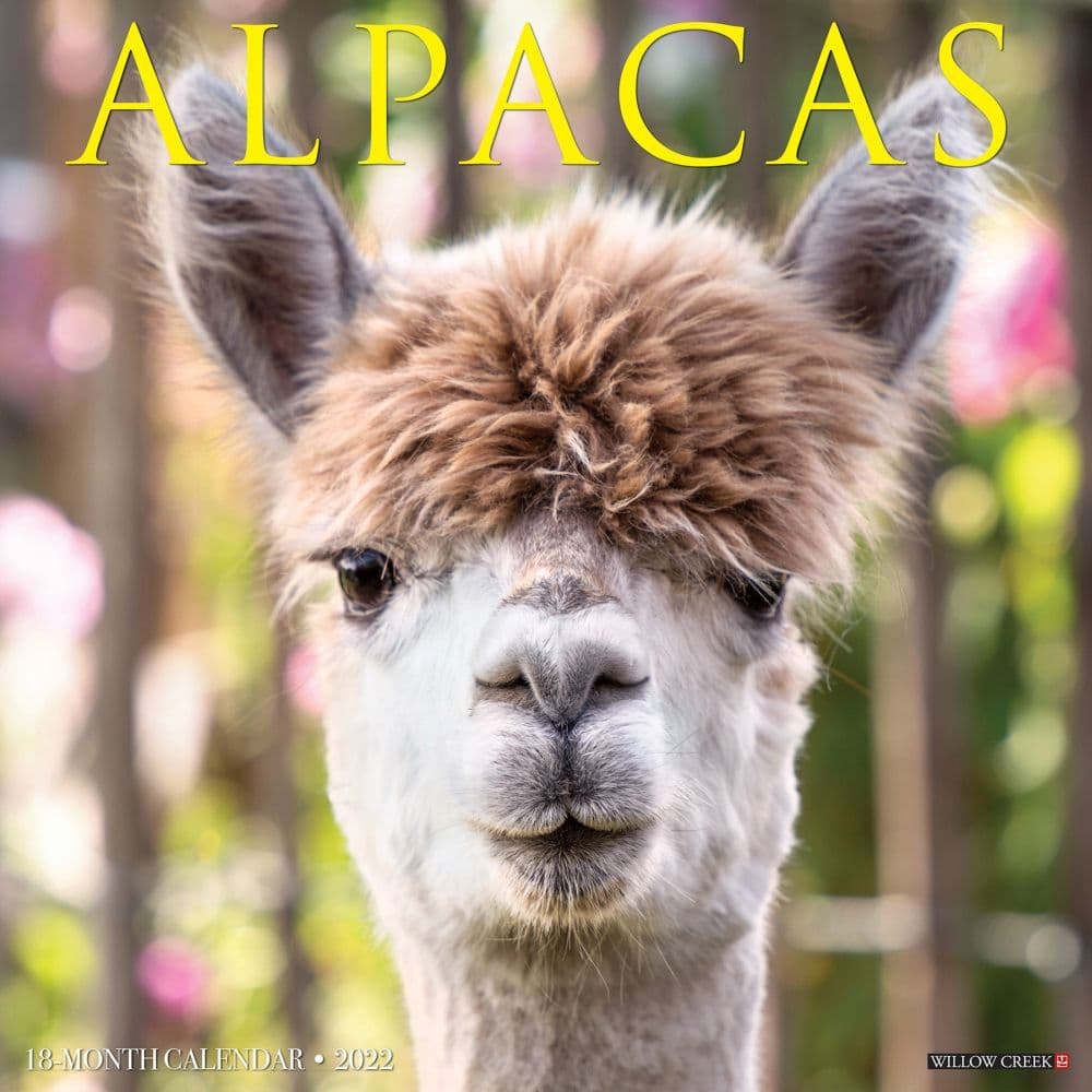 Alpacas 2022 Wall Calendar