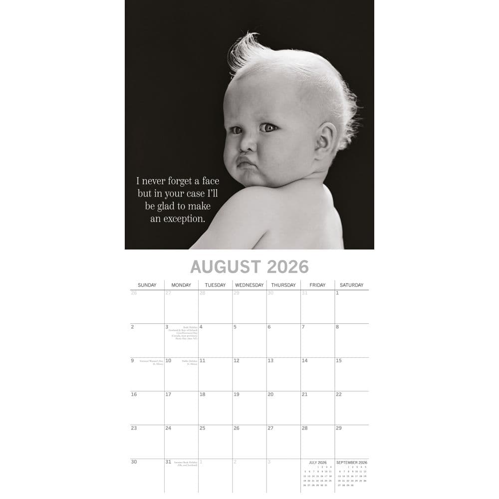 Witty One Liners 2026 Wall Calendar Third Alternate Image