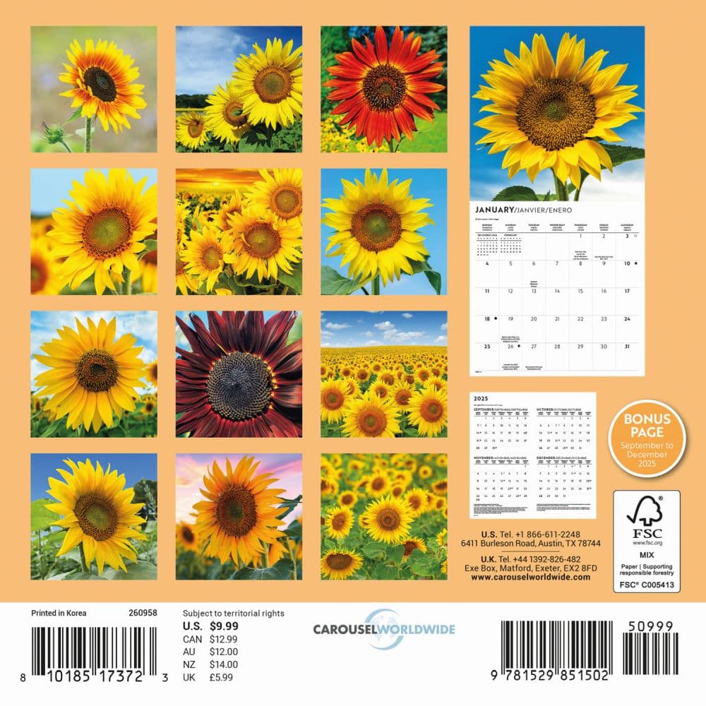Sunflowers Special Value 2026 Mini Wall Calendar First Alternate Image
