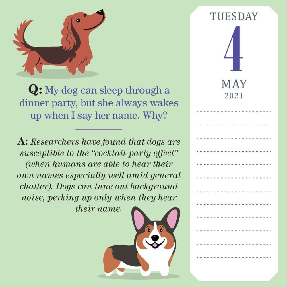 Dog Trivia Desk Calendar