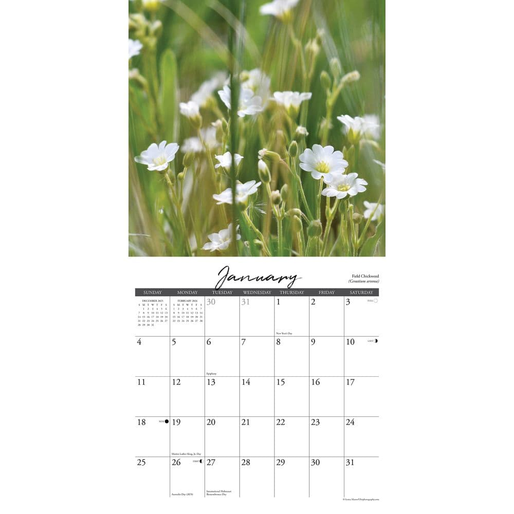 Wildflowers 2026 Wall Calendar Second Alternate Image