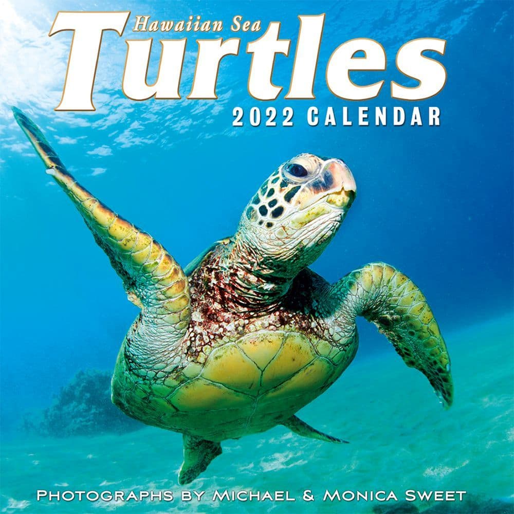 Hawaiian Sea Turtles 2022 Wall Calendar