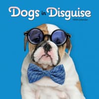 image Dogs in Disguise 2026 Wall Calendar Main Image
