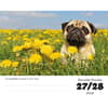 image Pugs 2026 Desk Calendar Third Alternate Image