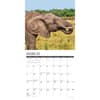 image Elephants 2025 Wall Calendar