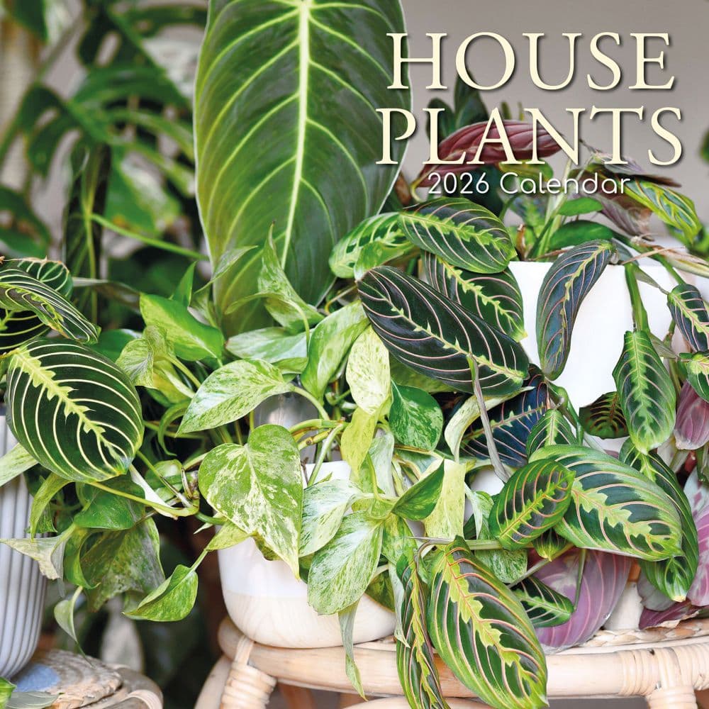 House Plants 2026 Wall Calendar  Main Image