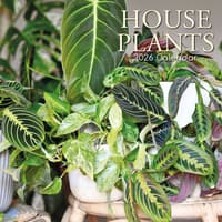 image House Plants 2026 Wall Calendar  Main Image