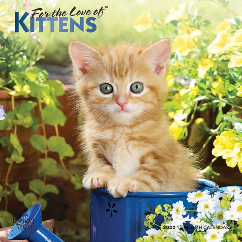 Love of Kittens 2022 Mini Wall Calendar