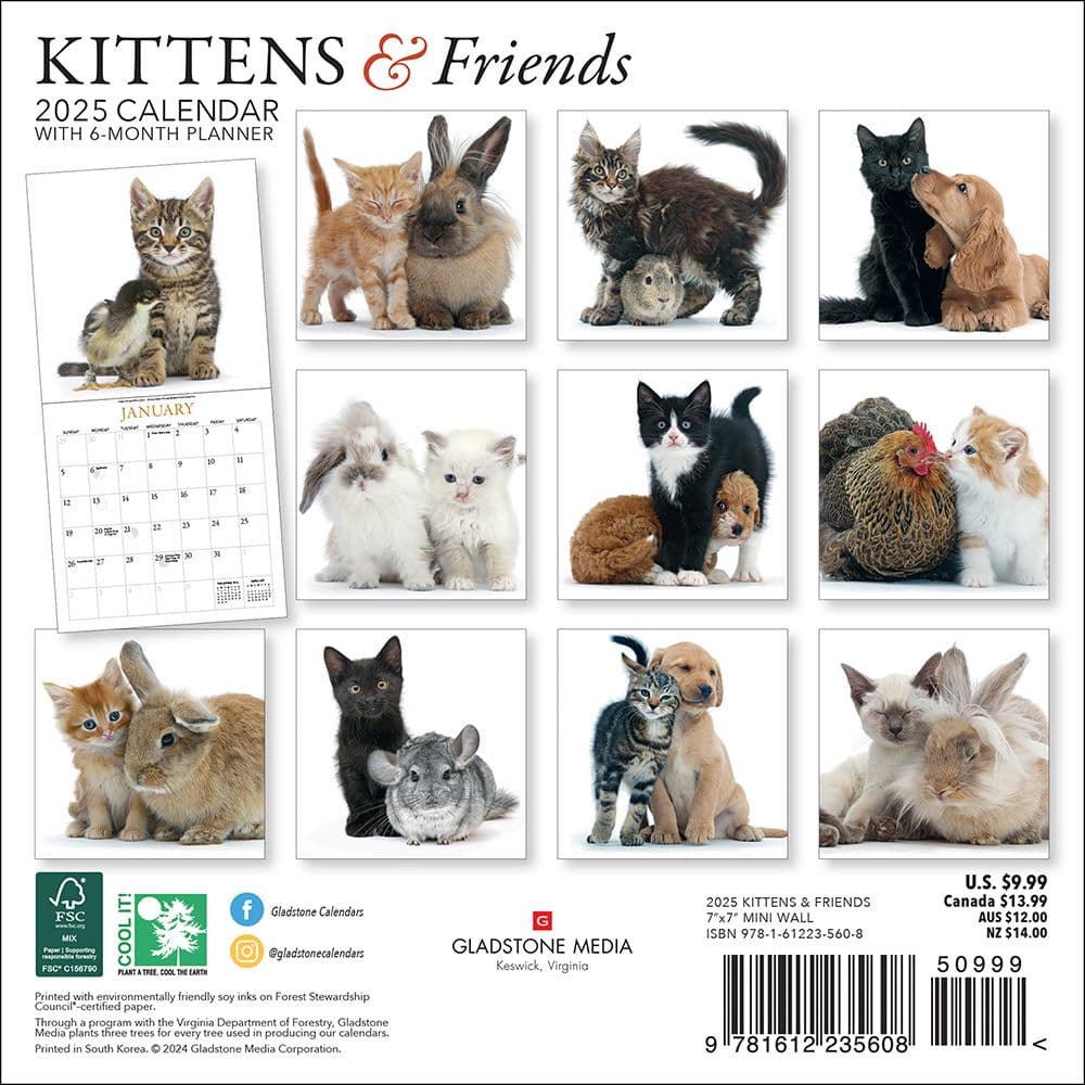 Kittens and Friends 2025 Mini Wall Calendar First Alternate Image width="1000" height="1000"