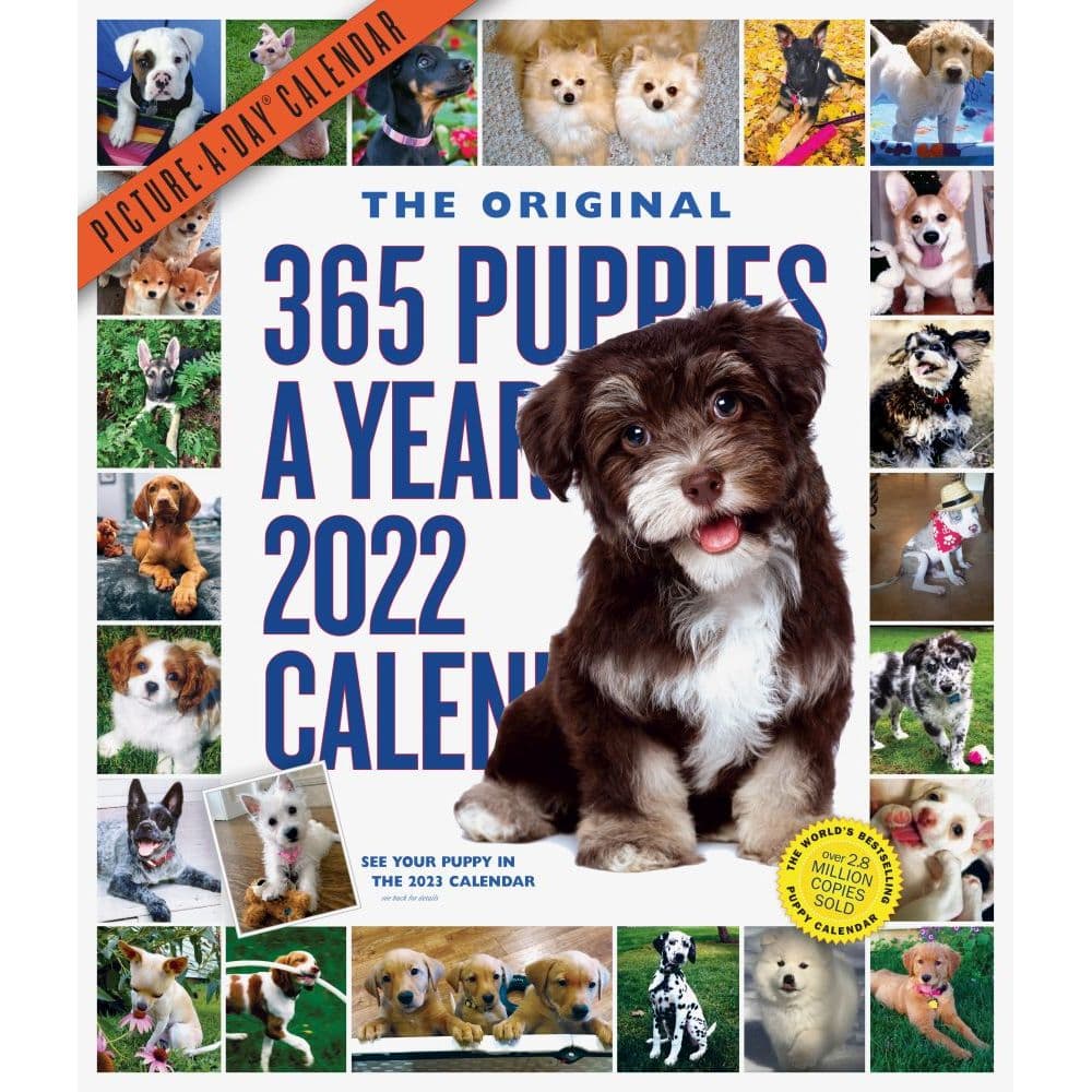 365 Puppies-A-Year 2022 Picture-A-Day Wall Calendar - Calendars.com