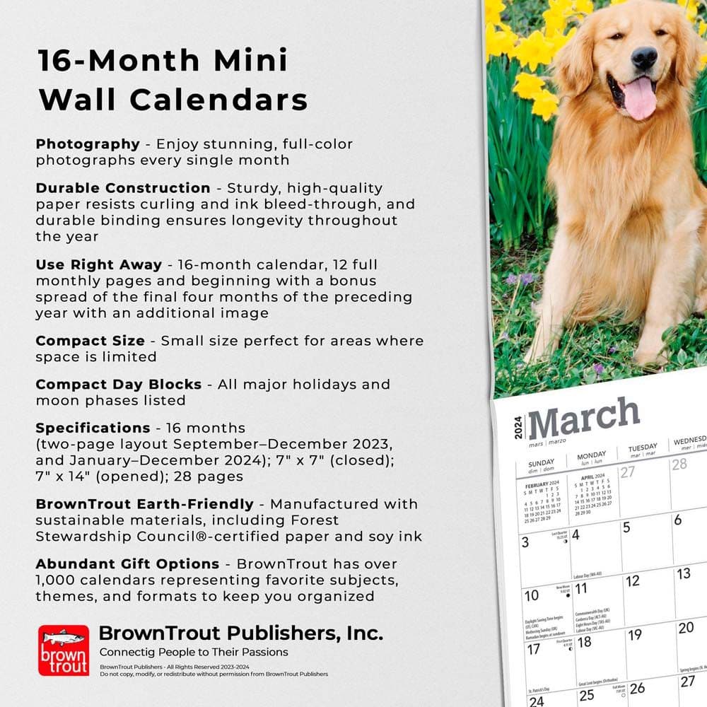 Golden Retrievers 2024 Mini Wall Calendar
