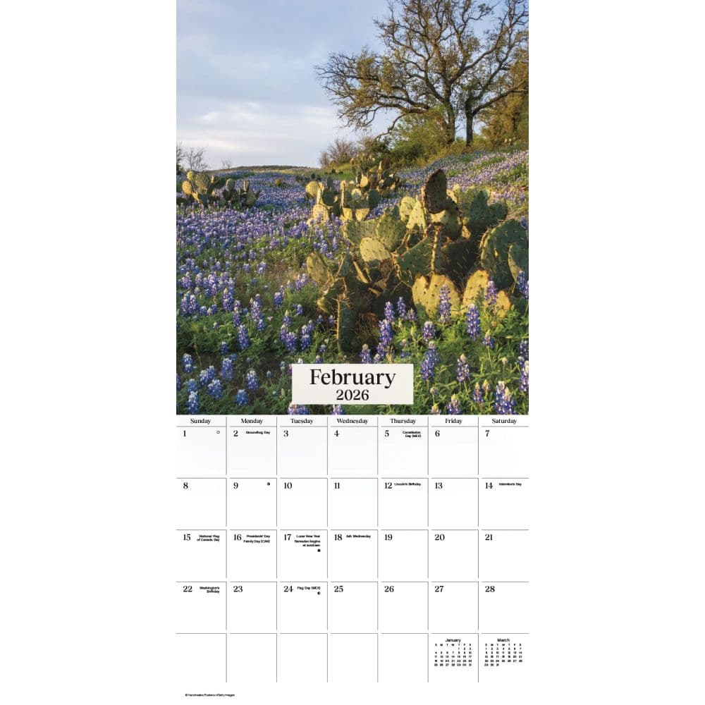 Texas Wildflowers 2026 Wall Calendar Third Alternate Image