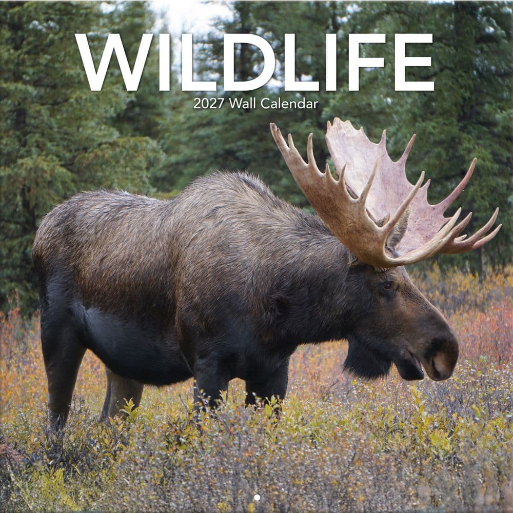 Wildlife 2027 Wall Calendar
