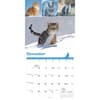 image Cat Lovers 2025 Wall Calendar Fourth Alternate Image width=&quot;1000&quot; height=&quot;1000&quot;