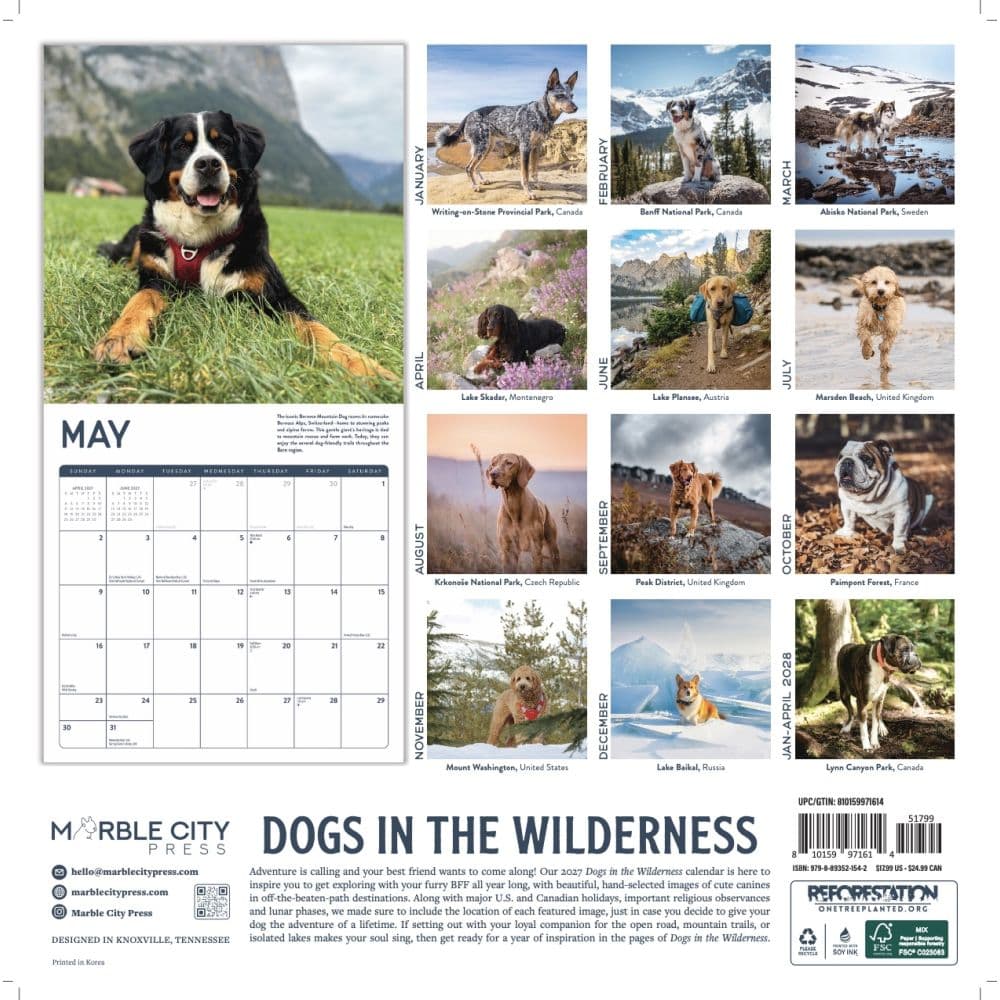 Dogs in the Wilderness 2027 Wall Calendar First Alternate Image