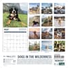 image Dogs in the Wilderness 2027 Wall Calendar First Alternate Image
