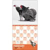 image Extraordinary Chickens 2027 Wall Calendar Second Alternate Image