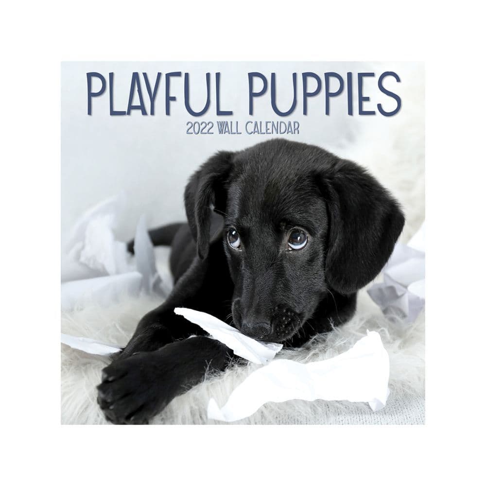 Playful Puppies 2022 Mini Wall Calendar