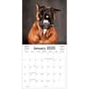 image Doggy Want A Treat 2025 Wall Calendar