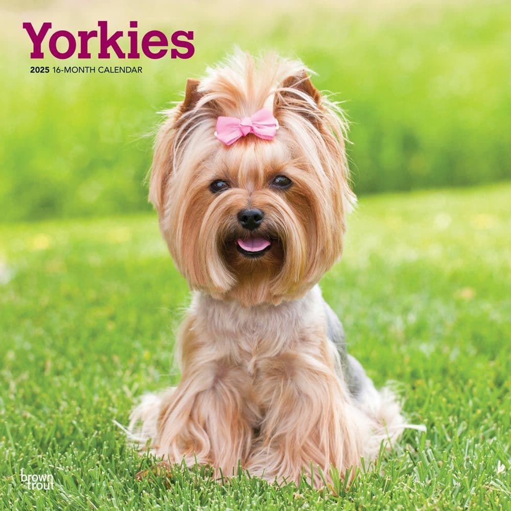 Yorkshire Terriers 2025 Wall Calendar