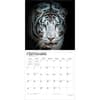 image White Tigers 2027 Wall Calendar Third Alternate Image