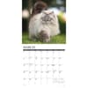 image Just Cats 2026 Wall Calendar Second Alternate Image